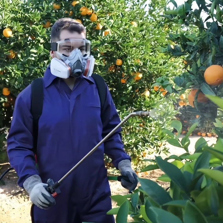 Máscara Antigás 6200 – Protección Avanzada Contra Vapores Orgánicos