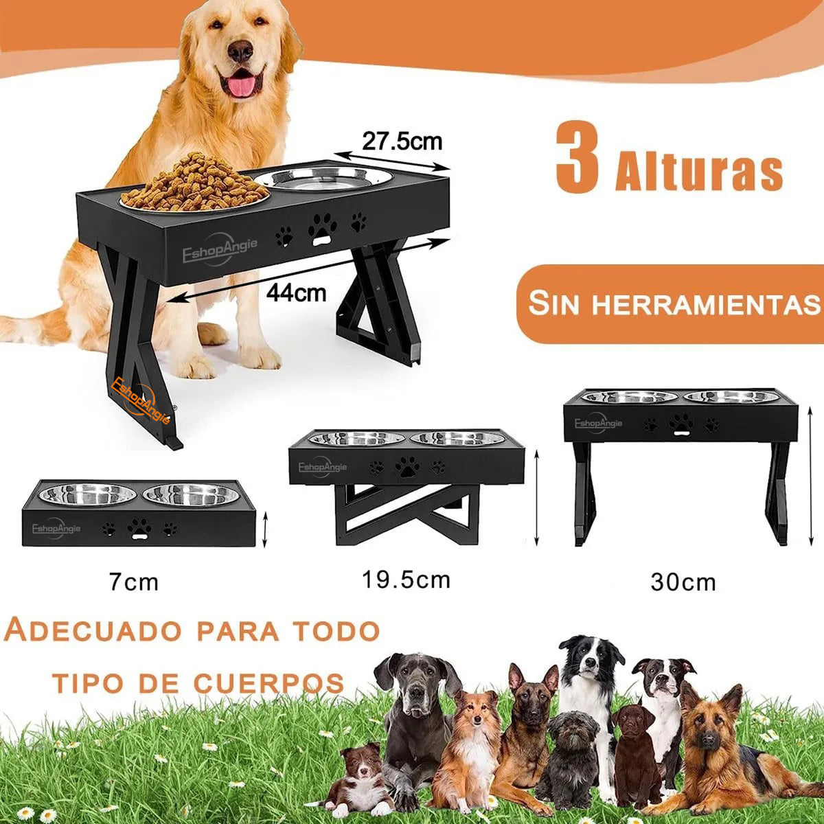Comedero-Bebedero Para Perros – Altura Ajustable para Alimentación Saludable