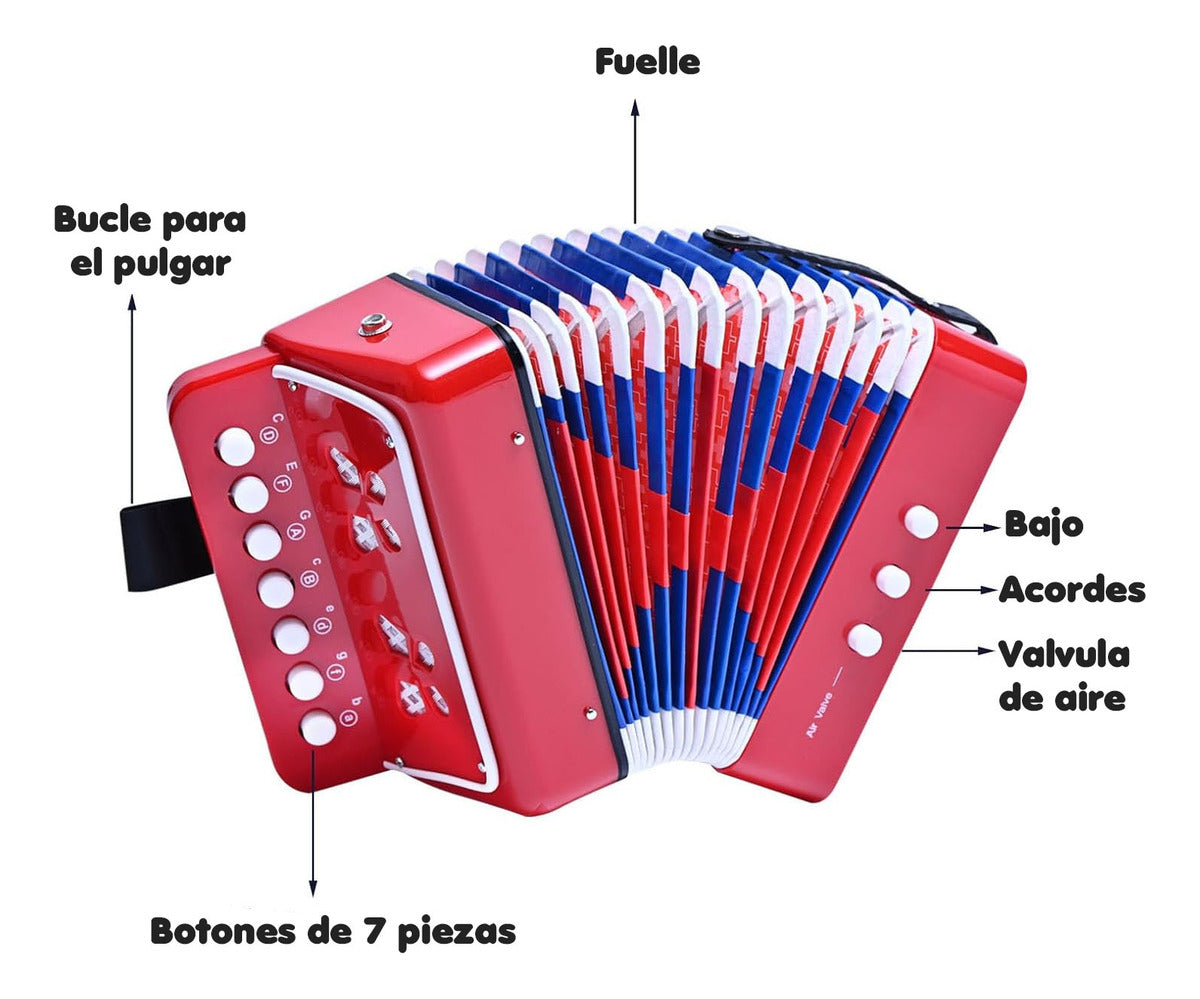 Mini Acordeón De Juguete – Experiencia Musical Divertida Para Niños