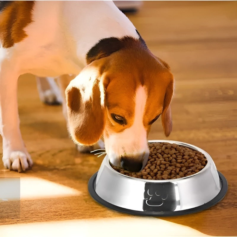 Rozenberg Comedero Perro Platos Para Perros Gatos 18cm – Material de Acero Inoxidable Durable