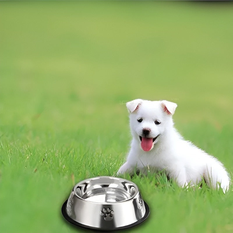 Rozenberg Comedero Perro Platos Para Perros Gatos 18cm – Material de Acero Inoxidable Durable